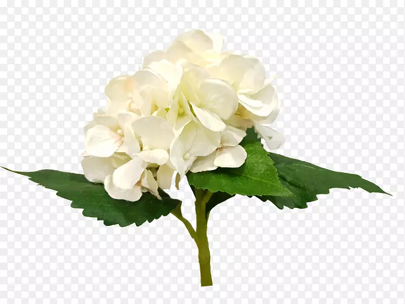 �����л��������Ӻ�˿����-������