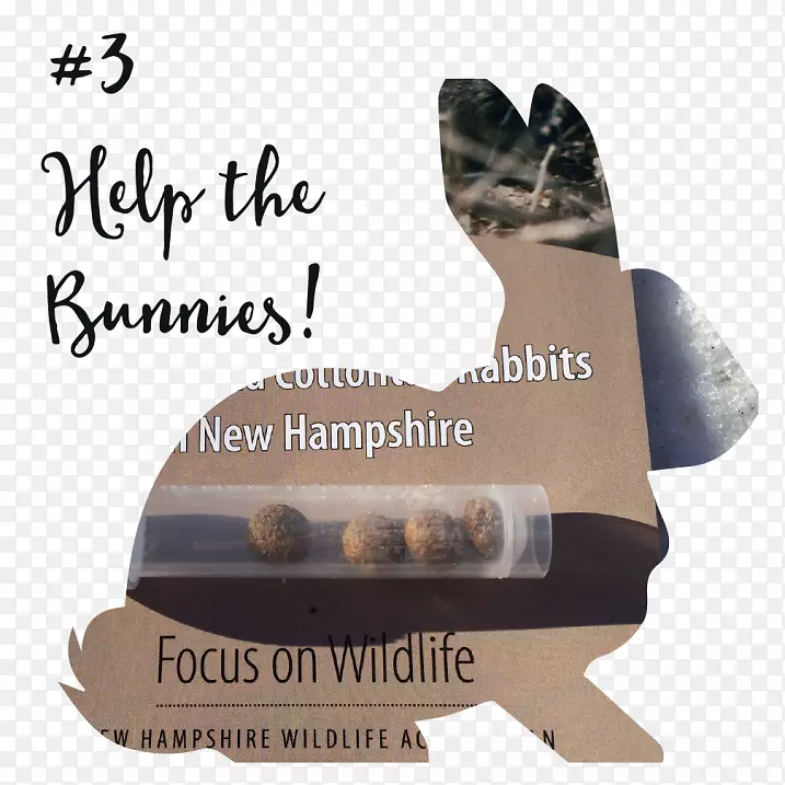 2017��16���º�������������ֽ���尮��Ұ�ö���-������