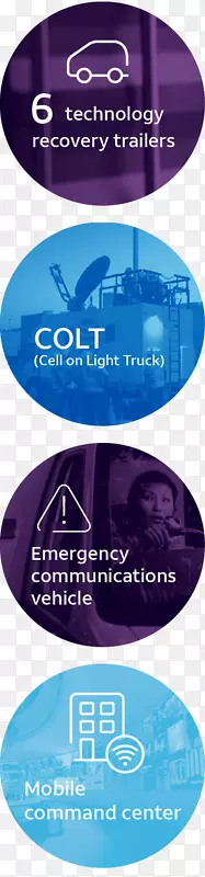 ˮƷ��ͼ�β�Ʒ���-����ͨ����˹��-������