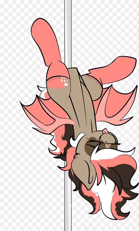 ��������ָ��������-������