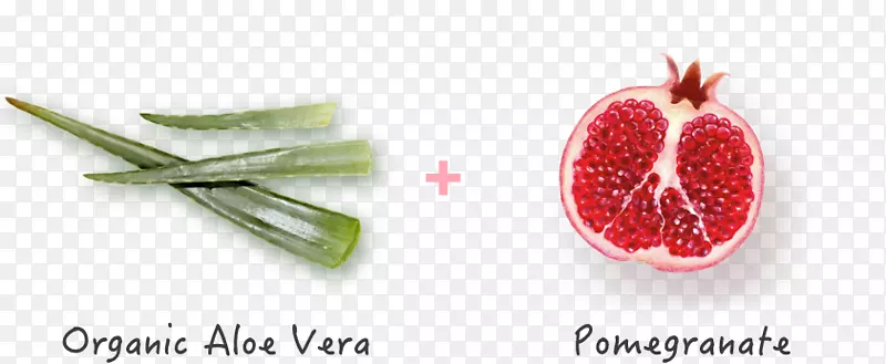 ɳ̲����ղ��õ�Ƥ�����Ĵ����Ƿۺ������Ĥ��ʳ����ϣ�«��֭�����¡�-������