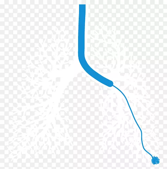 �߲�Ʒ��Ƶ��������֤���򲡽�����-������