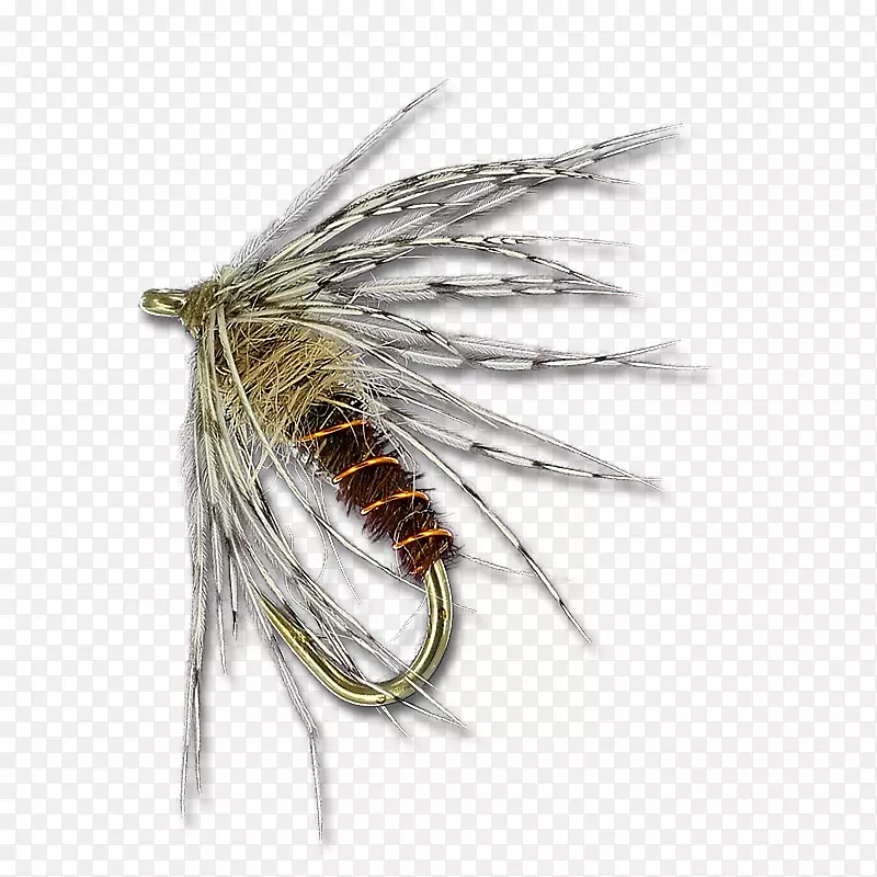 �����˹�Ӭ-����Ӭ-������