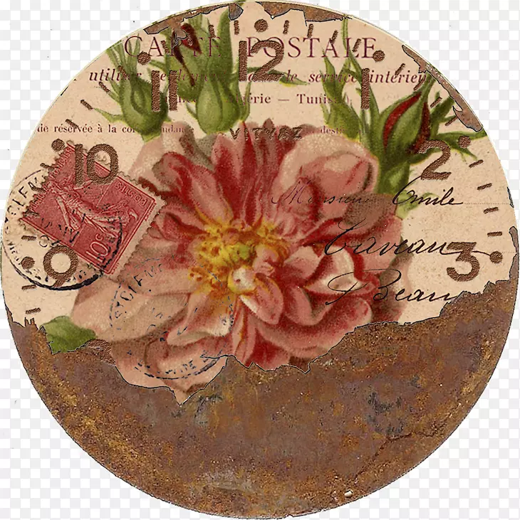 ֲ��ѧ��ͼֲ��ˮ�ʻ�ͼ��-DIY�ֵ���Ů���-������