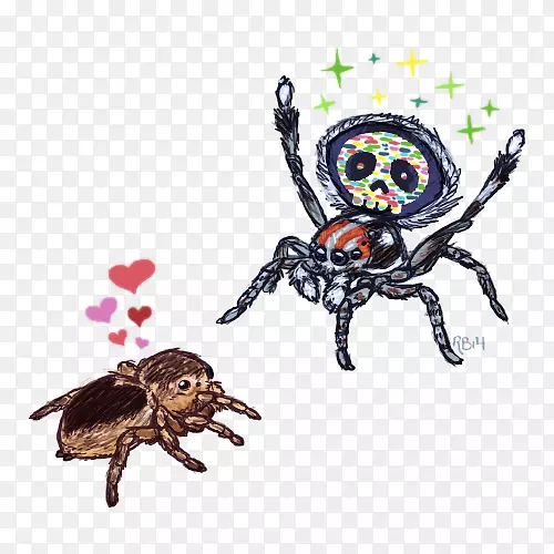 ������ʮ���࿨ͨ֩��-������