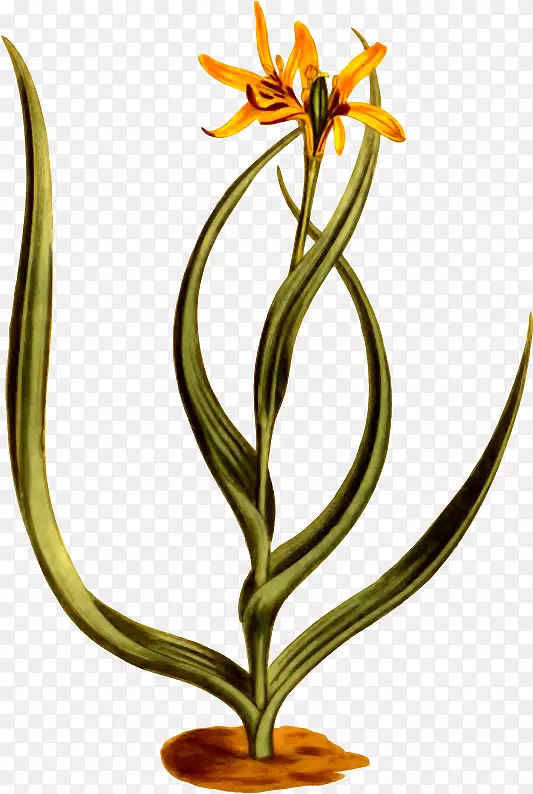 ������Ƽ�����-������