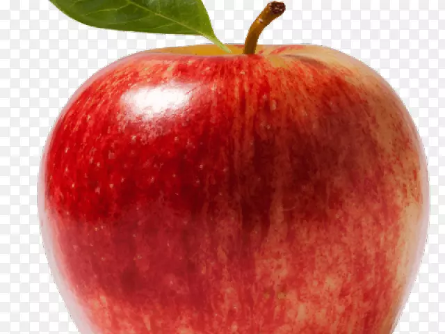 pngͼƬƻ��������-������