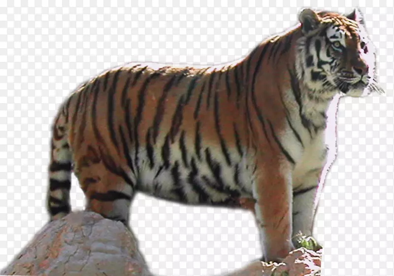 ��Ƶmbc����������ͼ��-��131ԭ��-������