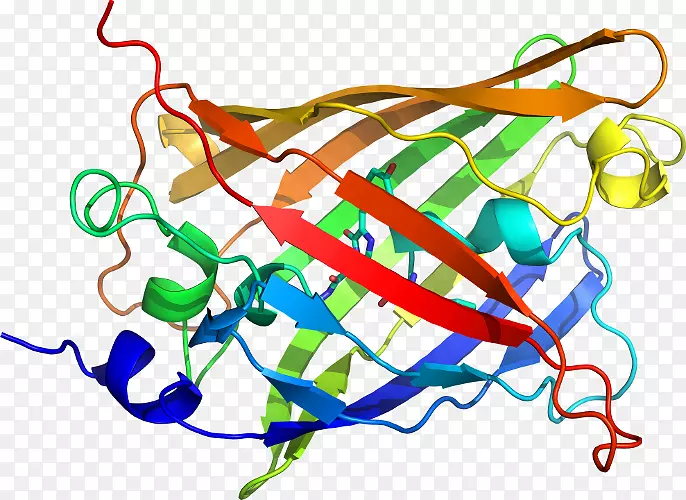 ���������л����Ʒӫ��ˮĸ����-������