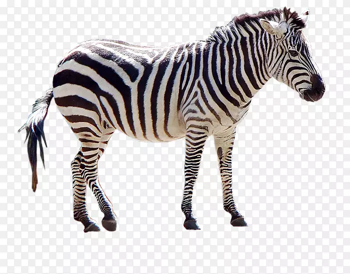 �����������������-��-������