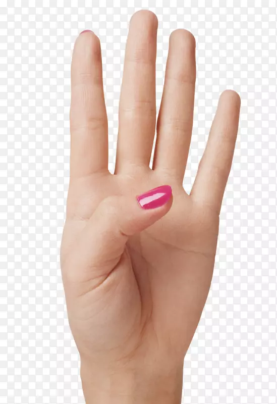 ʳָ�ּ�����.��ָ-������