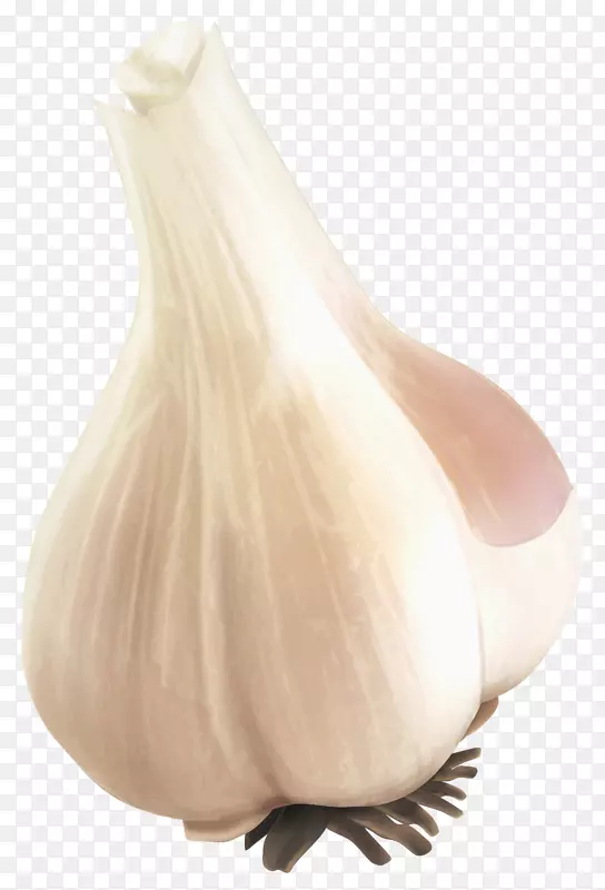 �������ʳƷ�߲�-����PNG-������