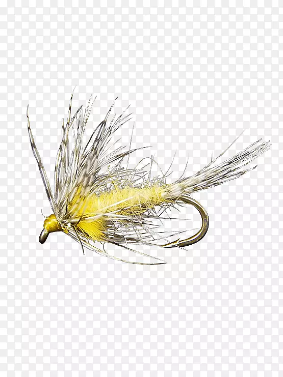 �˹�Ӭ�����������Ӭ-������