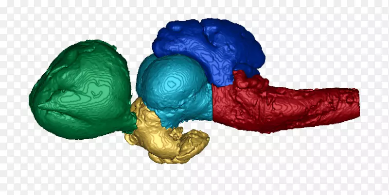 ����������ϵͳ������ѧ������ϵͳ-������