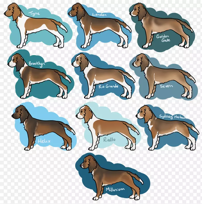 ����ֳ����Ұ�����￨ͨ-��������-������