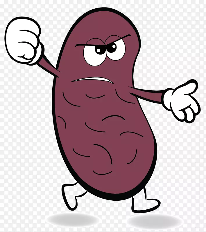 ����ˮ�ֶ���ˮ��������-����������-������