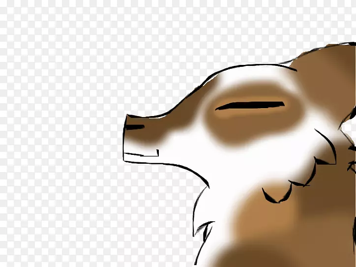 ���ӡ����ա�è�°͡���-�����Ŀ˽�ǰ-������