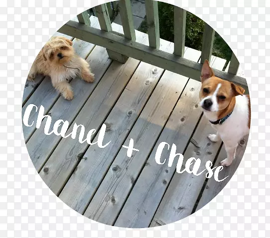 С������Ȯ�ڱ�-�ܿ����ػ�Ѫ��-������