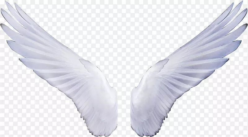 ��ʹ��ֽ������-���-������