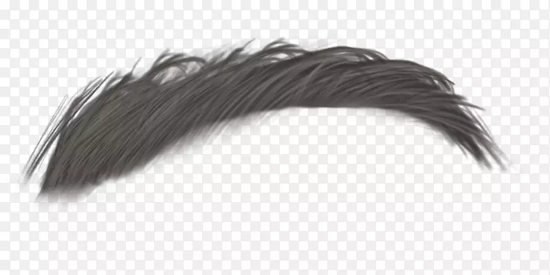 ����������PhotoshoppngͼƬgif����-������