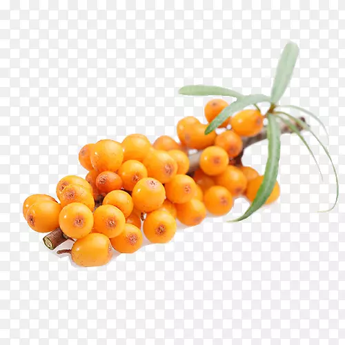 ��ˮ�л�ʳƷ����Salcura�������Һ����������-������