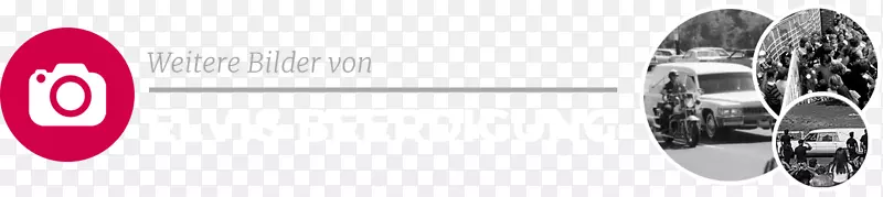 ���ֲ�Ʒ���Ʒ��-Elvis 1977-������