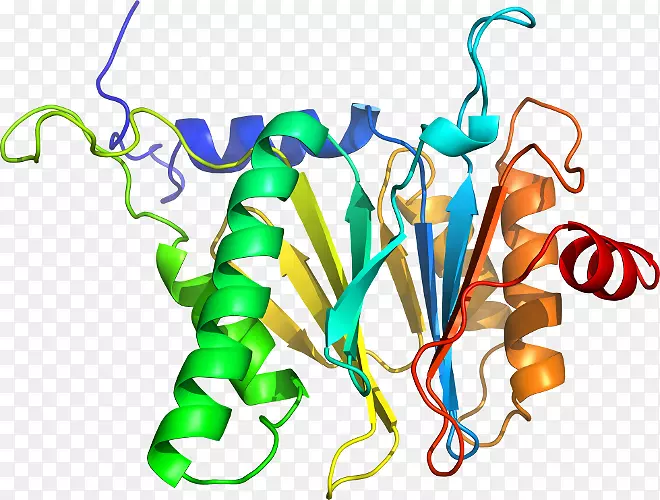 ������ֲ�ﾥ�߶���-������