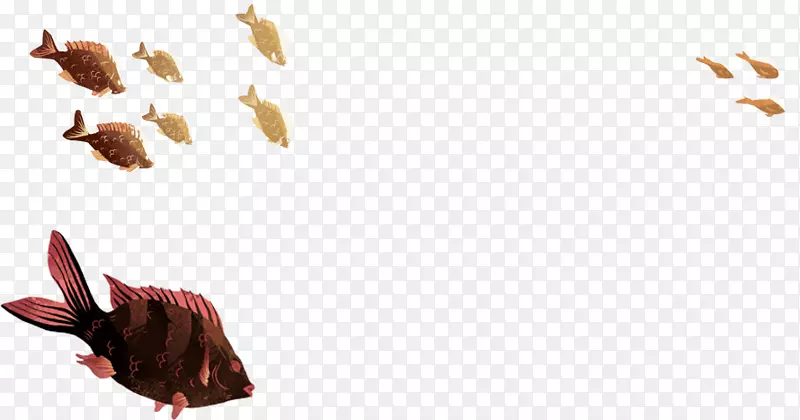 ������ϵ��Ѫ��Ԥ�����������ڷ���-amlϸ��-������