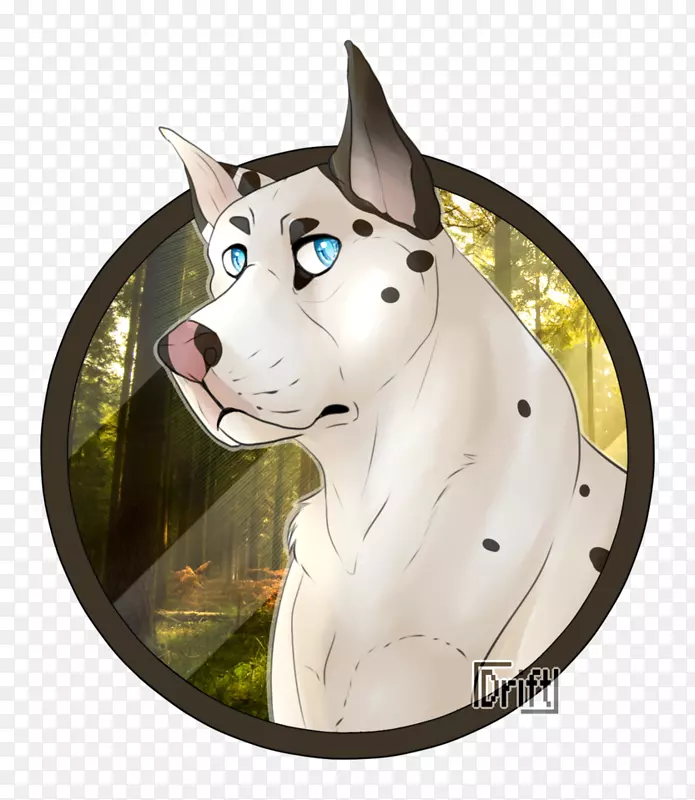 ����ֳ����ɭ���ճ�-��ΰ�ĺڱ�-������