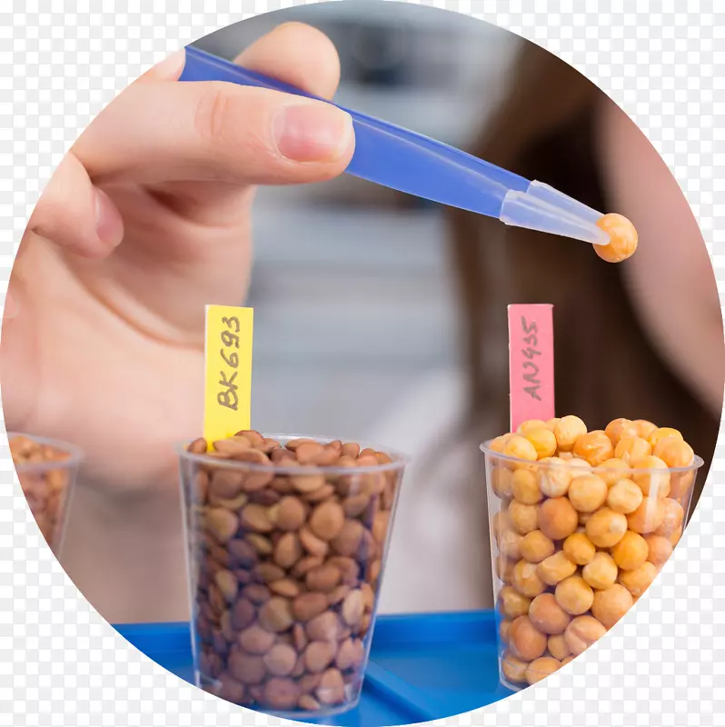 ʳƷ�ӹ�ʳƷ��ѧʵ����Ӥ��ʳƷ-������