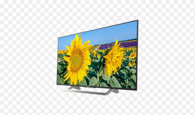 ����kd-43xf 8096����Һ������-���ܵ���-4k uhd(2160 P)���������Bravia sony��˾-�߶�̬��Χ-������