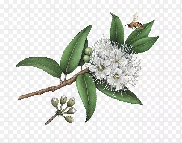 �����һ����Ͱ��޷���������β��ȼ��-������