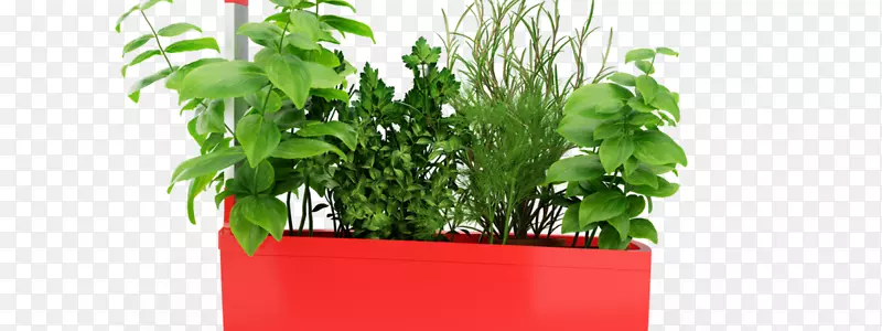 TREYN T6������԰԰��.ˮ������-������