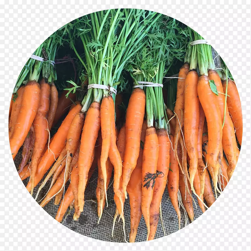 С���ܲ�ʳƷ�߲�ˮ��-ŷ��Ϻ-������