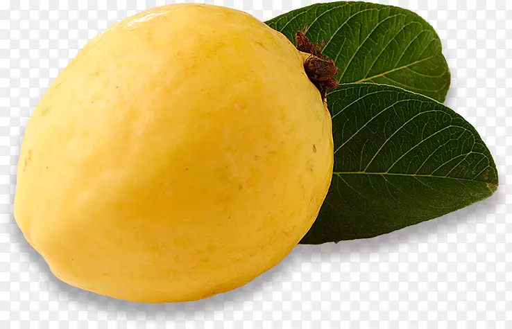 ���ʳ���ʳƷ�л�ʳƷ-������