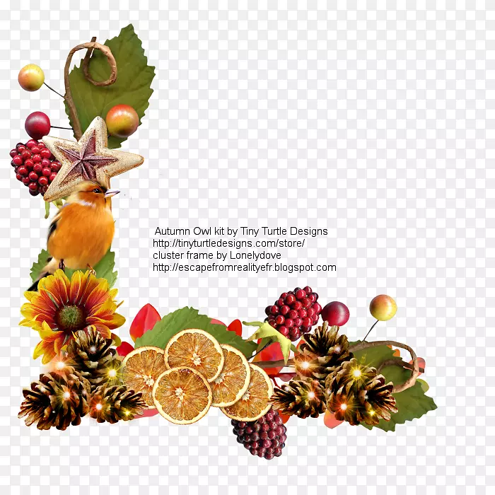 ʥ��װ��Ʒ����ʳƷʥ����ˮ��-������