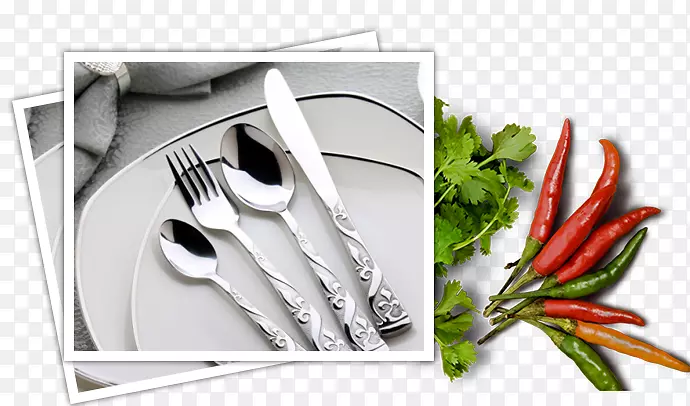 ӡ����ʳ��������190������-ӡ��������-������