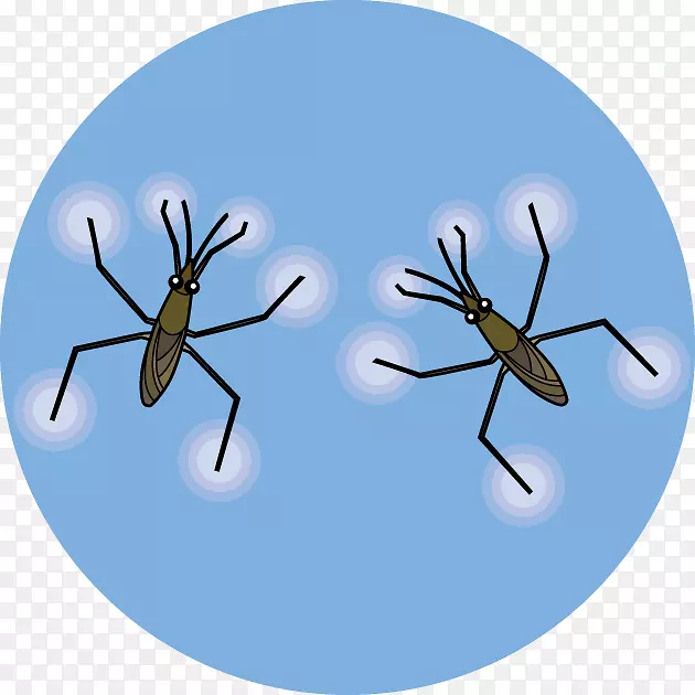 ����ˮ������ˮ����ͼ.ˮ����-������