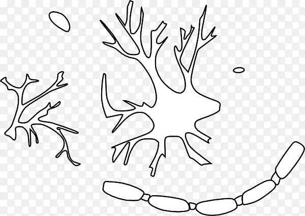 ����������Ԫ��ϵͳͼ��ϸ��-��ϸ��-������