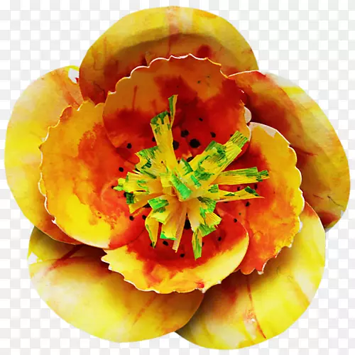 ��ɫS.A.ˮ��-������