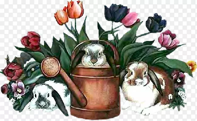 �������������츴���-����-������