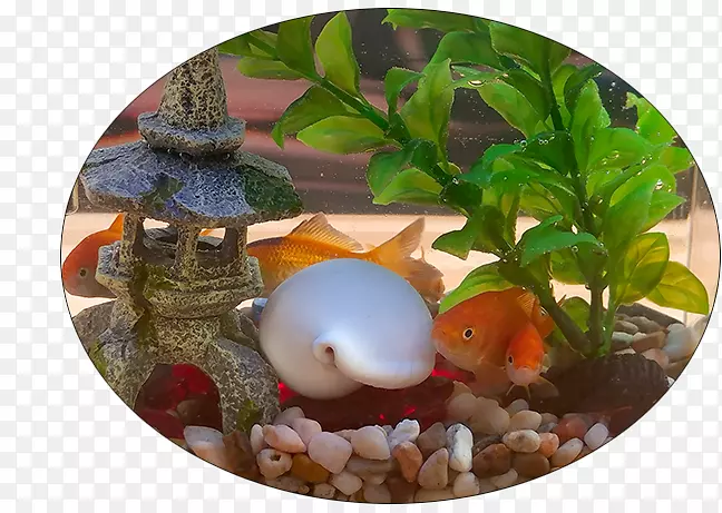 kotlin android����������google Developer��google������-��Ȥ�����-������