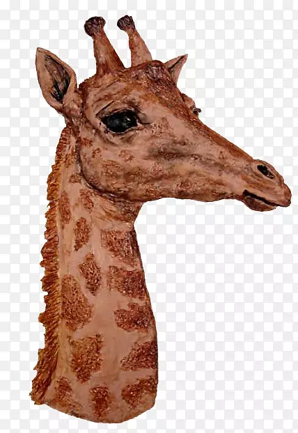 ���ﾱ½���������-�ۺ���ճ����������Ʒ-������