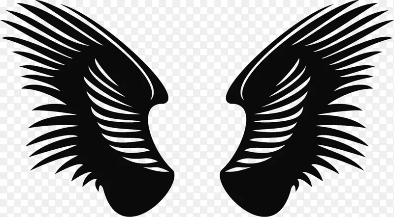 ��ӥ��ʿ��������ģ��-��ɫ����ӥ���-������