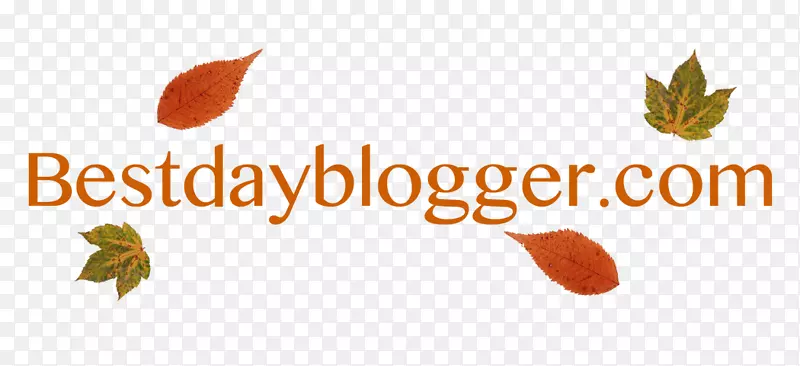 �̱����������ֽƷ�Ʋ���-�ļ�ʱװ�㺣��-������