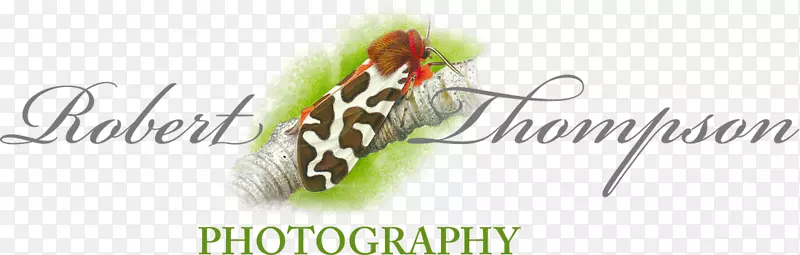 �����־Ʒ�Ʋ�Ʒ�������-���������-������