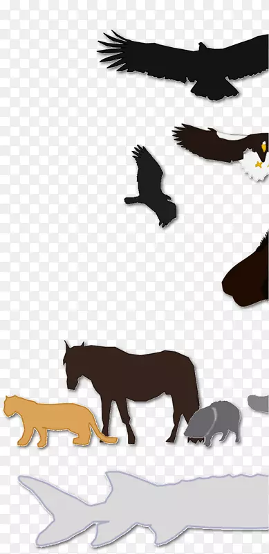 Ȯ��Ұ�����붯��԰���2-�����ӥ��ͺӥ-������