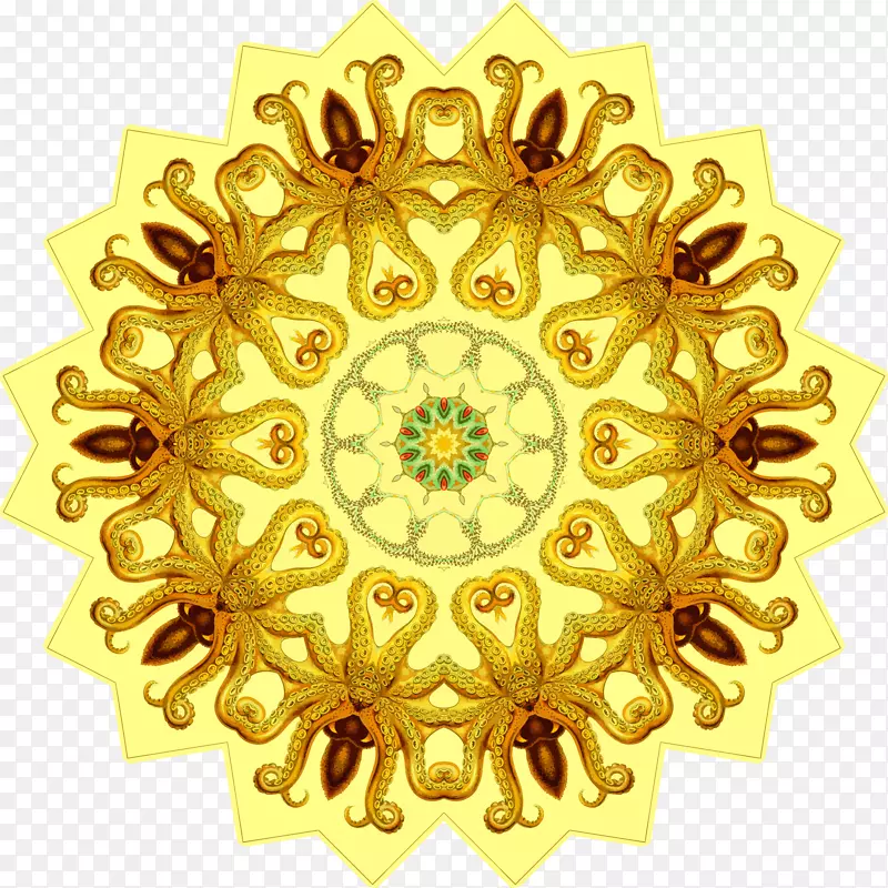 Adobe�廭ʦadobe Muse adobe CreativeCloudadobe Inc.-װ����-������