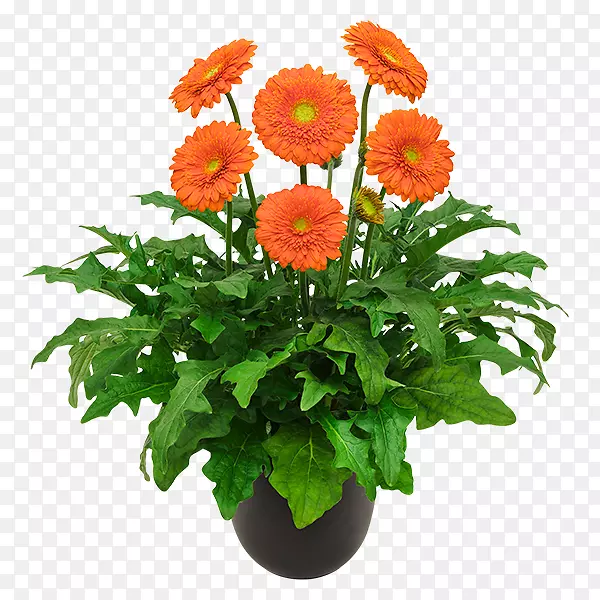 ���ջ��л��ջ�-������