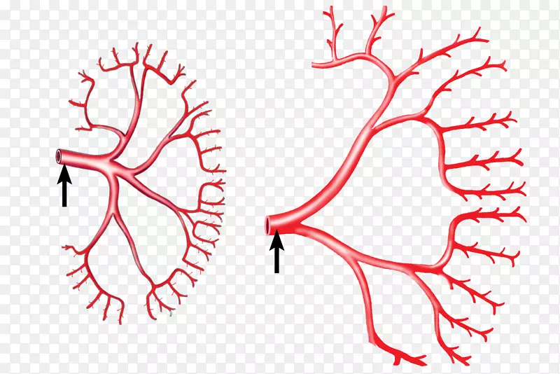 ��������ͼ��ָ�ǵ��-������